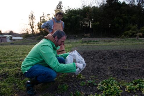 Measuring Radiation on Crops