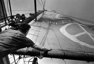 Dave Birmingham Raises Greenpeace Sail on Phyllis Cormack