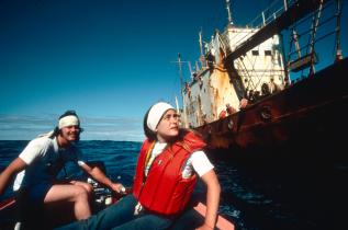 Bobbi Hunter und Paul Watson auf dem Zodiac neben dem Walfangschiff 1975.
