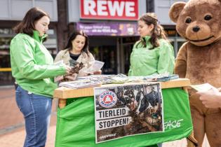 Zwei Ehrenamtliche in grünen Jacken sprechen am Infotisch mit einer Frau, daneben steht der Bärenmarke-Bär.