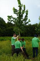 Planting Trees Protest Against Gas Drilling in Upper Bavaria