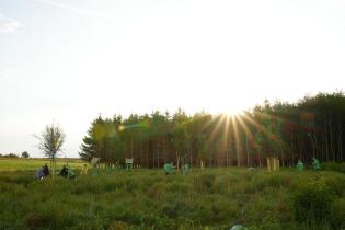 Planting Trees Protest Against Gas Drilling in Upper Bavaria