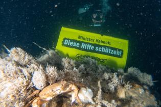 Dives in the North Sea off Borkum