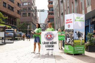 Group Action Day for Milk from Pastures in Hamburg