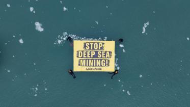 Zwischen Eisschollen halten Greenpeace-Aktivist:innen ein Banner mit der Botschaft "Stop Deep Sea Mining".