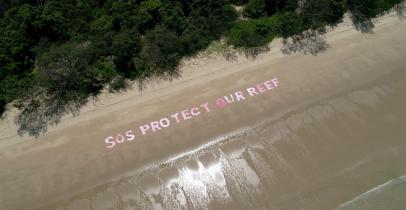 'SOS Protect Our Reef' Message on Beach near Cairns, Australia