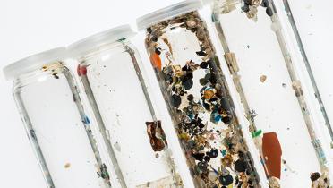 Reagenzgläser mit Mikroplastik aus deutschen Flüssen