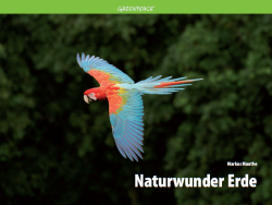 Titelbild des Kalender "Naturwunder Erde" - Papagei im Flug