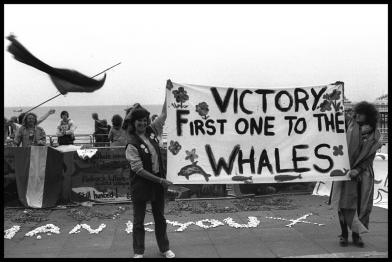 Greenpeace-Aktivist:innen halten ein Transparent mit der Aufschrift: 'Erster Erfolg für die Wale', Brighton, UK.  Sie demonstrieren vor der Internationalen Walfangkommission in Brighton 1982. 