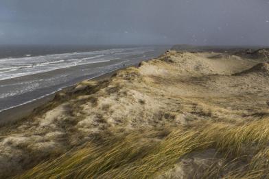 Beach on the island of Borkum