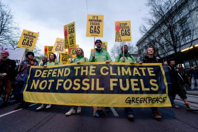 Protest March against Gas Industry in Vienna