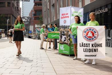 Hafencity, Hamburg: Infotisch mit Bannern zu Weidemilch sowie Bärenmarke, Aktive verteilen Infomaterial