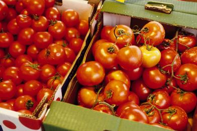 Zwei Kisten mit Tomaten