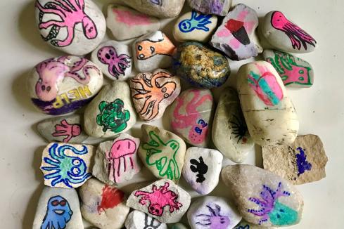 Bemalte Steine für den Tiefseeschutz