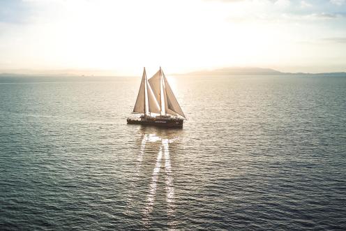 Rainbow Warrior kommt in Auckland an