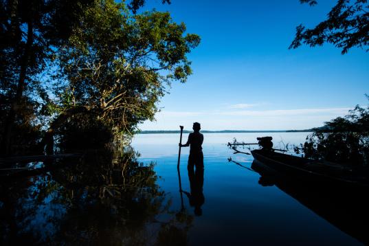 amazonas-Regenwald in der blauen Stunde