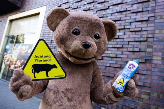 Volunteers Label Bärenmarke Milk in Hamburg