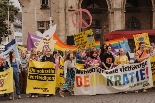 Junge Menschen demonstrieren mit Plakaten in der Hand wie "Demokratie verteidigen"