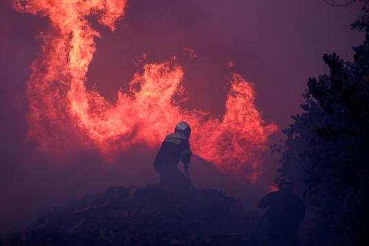 Waldbrand, davor ein Mensch