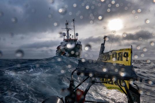 Industrielle EU-Fischereiflotten aus Spanien und Portugal fischen mit Langleinen konsequent in den dortigen Hai-Aufzuchtsgebieten. Die Flotten zielen eigentlich auf Schwertfisch ab, ist aber inzwischen auf den Beifang von Haien angewiesen, um rentabel zu bleiben. In der Folge ist der Kurzflossen-Makohai im Nordatlantik vom Aussterben bedroht. Die Haipopulationen sind in den letzten 50 Jahren weltweit um 70 % gesunken.