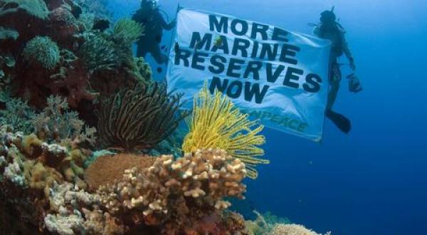 Marine Reserve banner