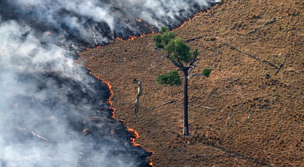 Brennende Regenwälder im Amazonasgebiet