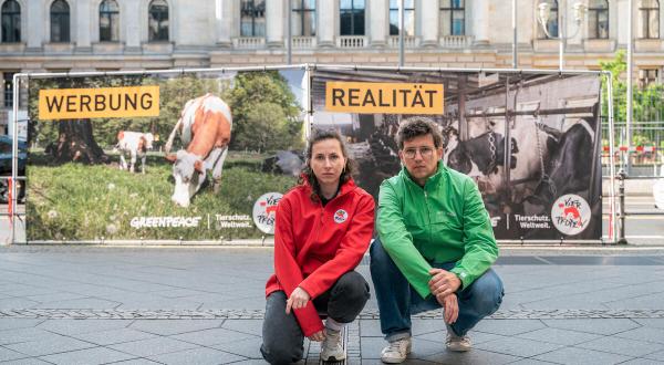 Zwei Aktive von Greenpeace und vier Pfoten vor Protestplakaten gegen Anbindehaltung