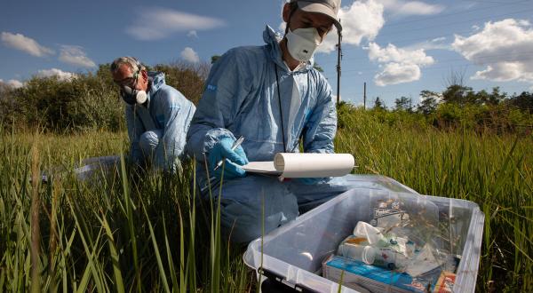 Examination around Chornobyl for Radioactivity