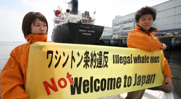 Aktion im Hafen von Tokio