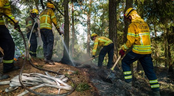 In der Sächsischen Schweiz löschen Einsatzkräfte den Waldbrand