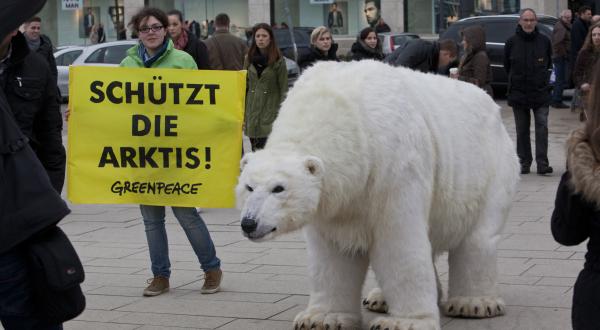 Eisbärin Paula wirbt in Hamburg für den Schutz ihrer Heimat. 