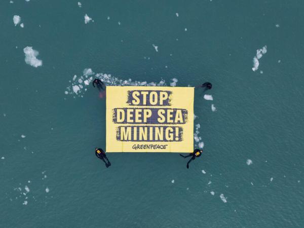 Zwischen Eisschollen halten Greenpeace-Aktivist:innen ein Banner mit der Botschaft "Stop Deep Sea Mining".