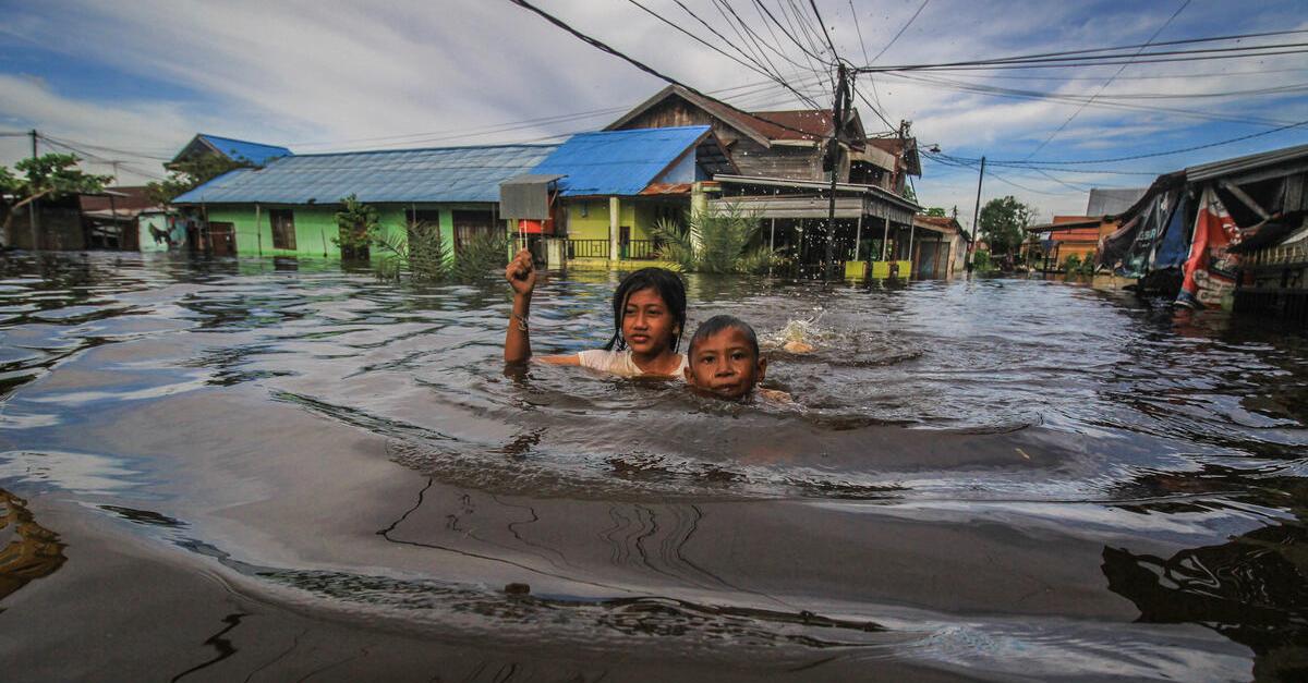 Folgen Des Klimawandels | Greenpeace