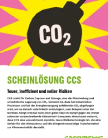 Broschüre: Scheinlösung CCS