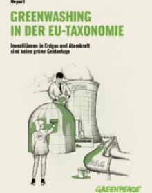 Greenwashing in der EU-Taxonomie