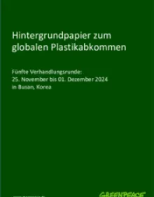 Hintergrundpapier zum globalen Plastikabkommen