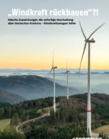 Studie Windkraft-Rückbau.pdf