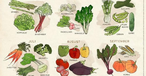 Aktionspaket Poster Gemüse der | Saison Greenpeace